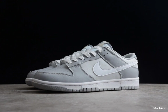 DJ6188-001 Low Two Dunk Tone Grey NNike 0124